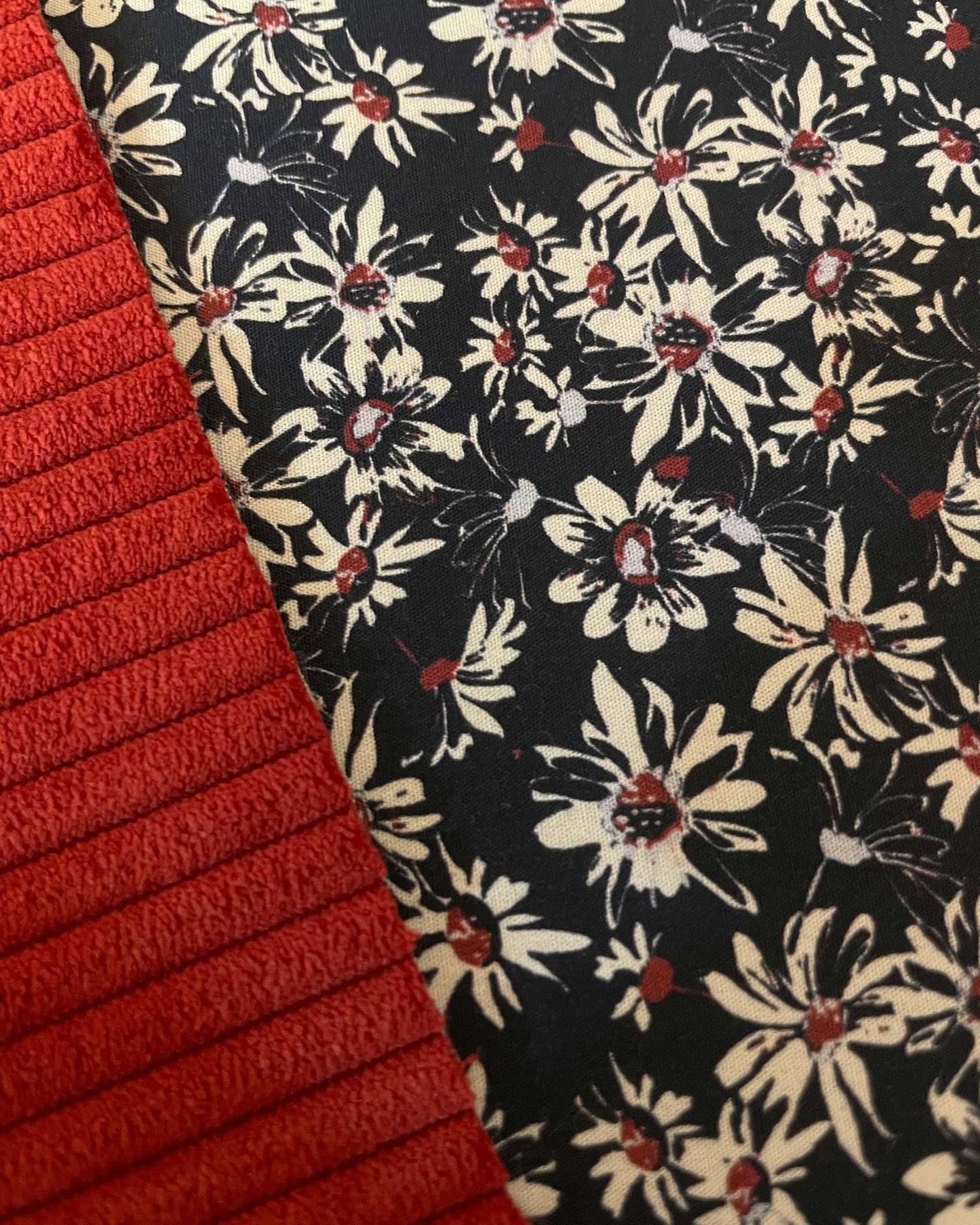 Carterita Portobello